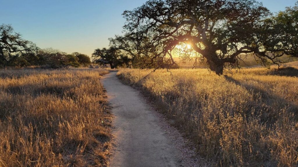Sunset view along a hiking trail at Santa Rosa Plateau in Murrieta, California, with golden grass and oak trees casting long shadows.