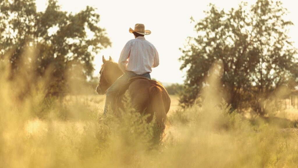 Man riding a horse through a sunlit trail in La Cresta near Murrieta, California—highlighting the area’s rural charm and equestrian lifestyle.